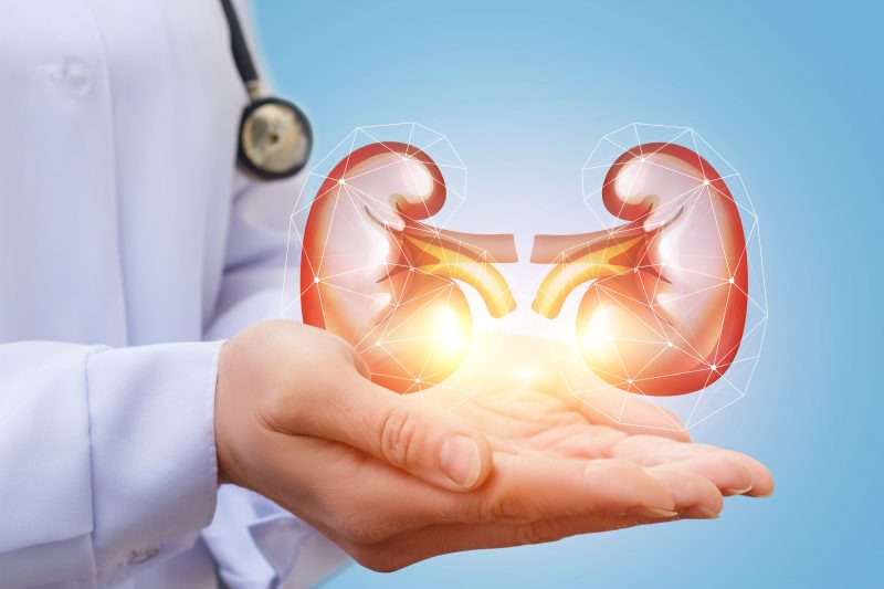 Know Your Disease: Understanding the Basics of Kidney Disease: 4