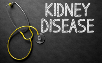 Know Your Disease: Understanding the Basics of Kidney Disease: