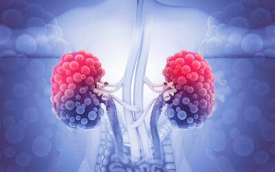 Hereditary Kidney Disorders: Navigating Genetic Conditions