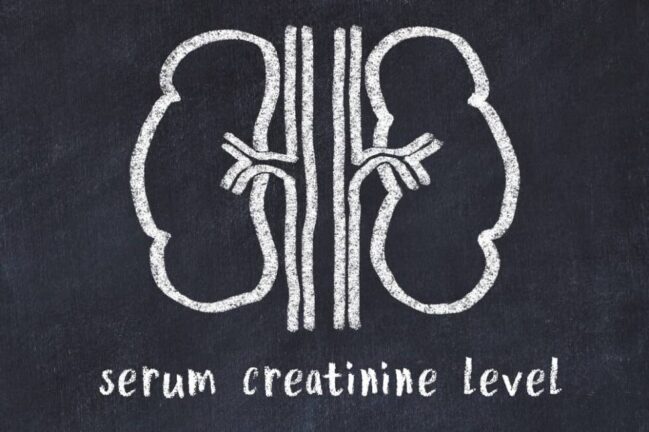 creatininie-levels