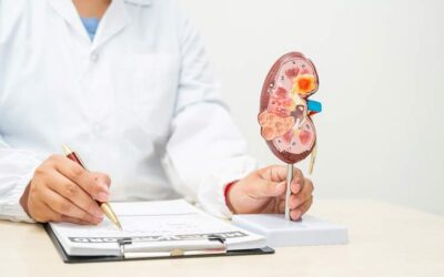 Understanding Kidney Atrophy: Causes, Symptoms, and Treatment