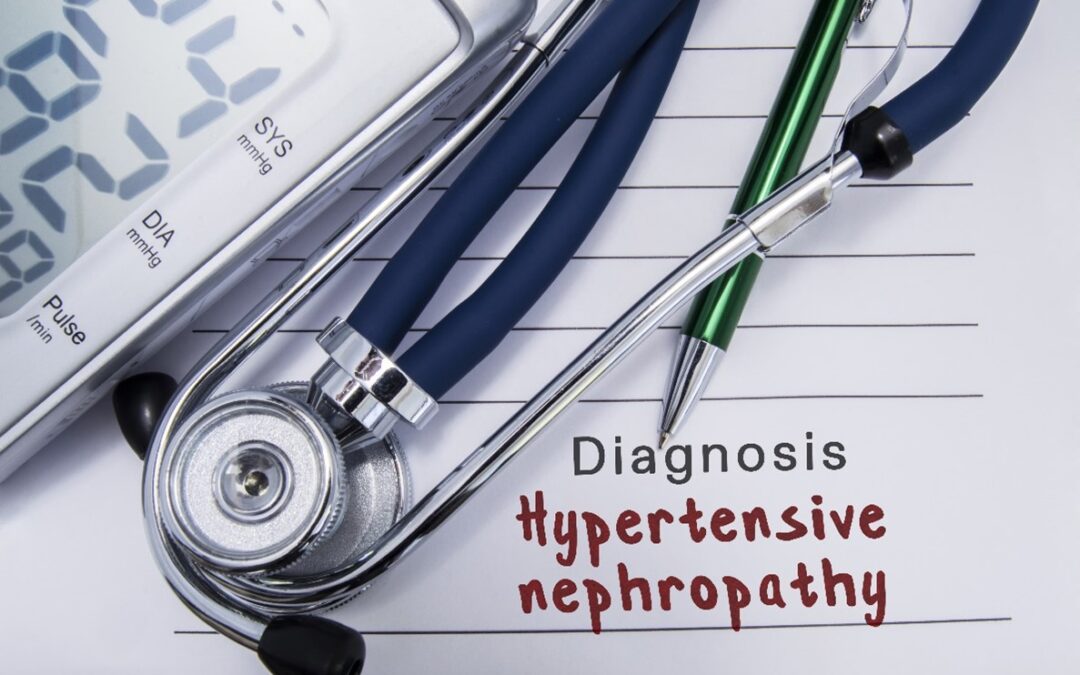 Hypertensive Nephropathy: How High Blood Pressure Affects Your Kidneys
